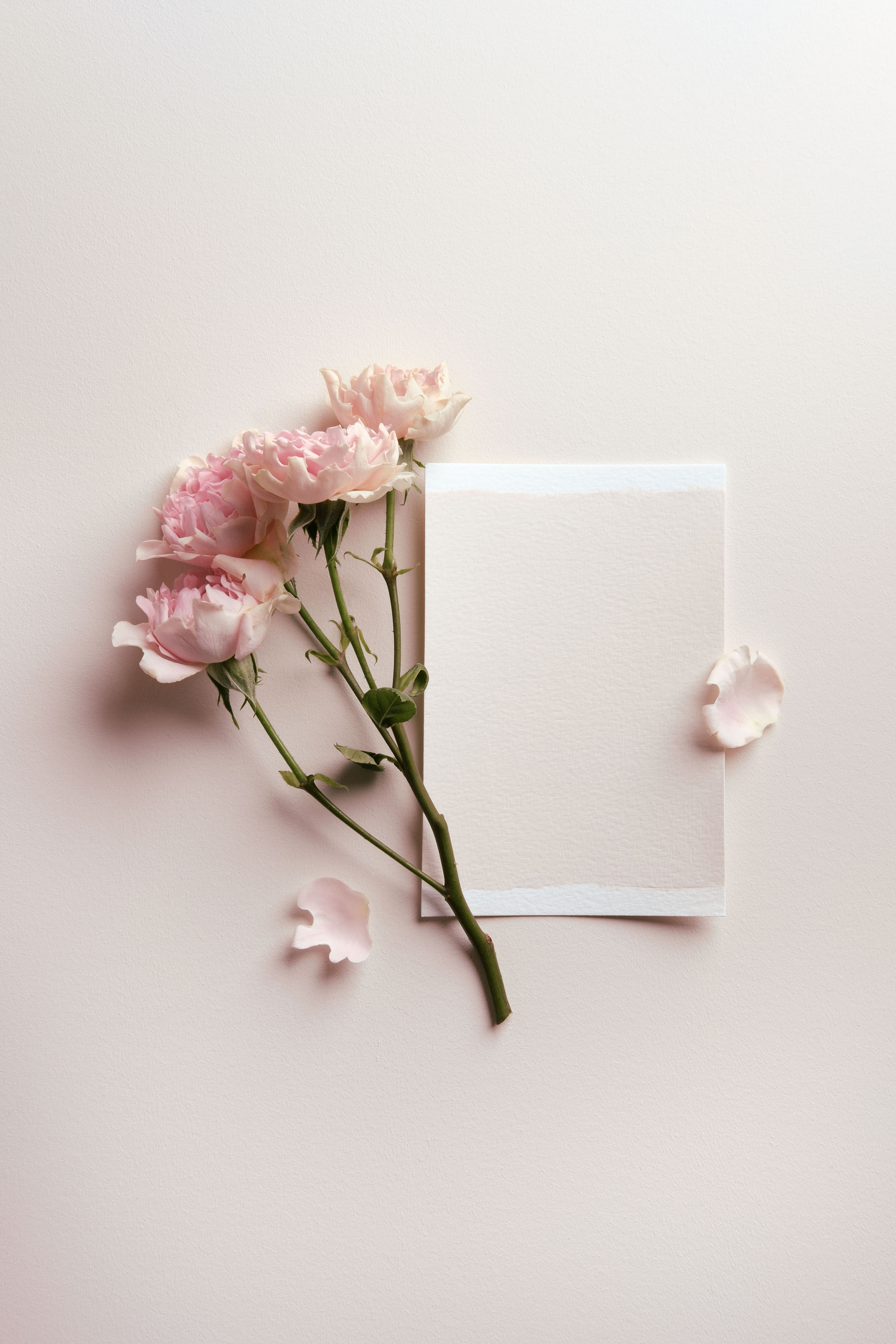 Dulux Heritage Sage Flowers Tastemakers Flatlay